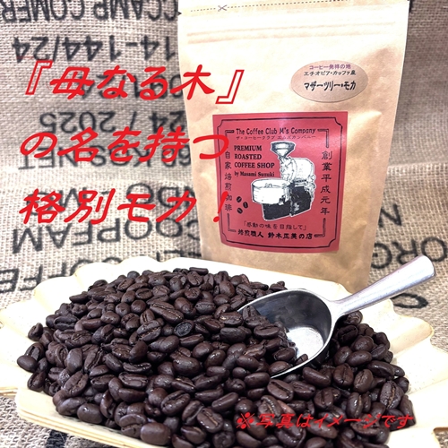 ☆「母なる木」の名を持つ格別なモカ『マザーツリー・モカ』少量限定販売※お一人様100gのお求めにてお願いしております