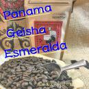 <ゲイシャ祭り>『La Esmeralda-GEISHA』パナマNo.1・エスメラルダ農園・ゲイシャ・驚愕の新種豆・限定新入荷!