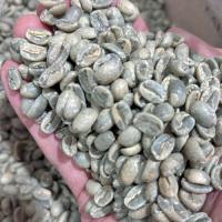 <ゲイシャ祭り>『La Esmeralda-GEISHA』パナマNo.1・エスメラルダ農園・ゲイシャ・驚愕の新種豆・限定新入荷!